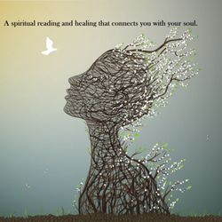 Sudhana's Healing Solutions 