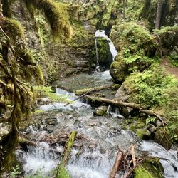 Virgin Creek Falls