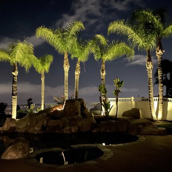 Charles Tree Service - Freshly trimmed palms looking - Tree Services Near Me - Lemon Grove, California Charles Tree Service - Freshly trimmed palms looking - Tree Services Near Me - Lemon Grove, California