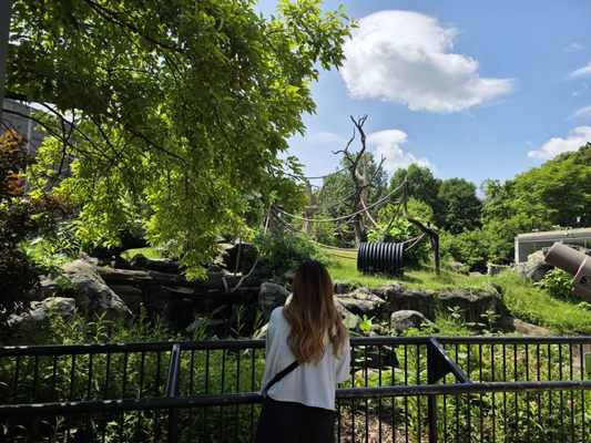 Lincoln Park Zoo by null