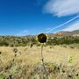 Photo of Ute Valley Park