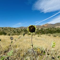 Ute Valley Park