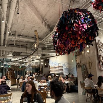 Fish Shop - Interior decor - Seafood Near Me - Washington, DC, District of Columbia