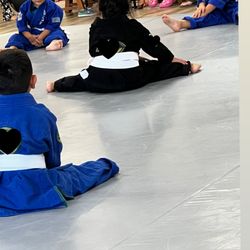 Logic Brazilian Jiu-Jitsu