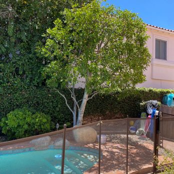 Dario Tree Trimming - Tree Services Near Me - Sylmar, California