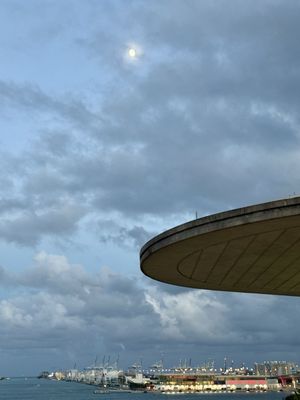 Patricia and Phillip Frost Art Museum by null