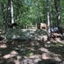 Photo of Back Beach Park