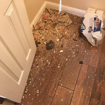 Mercado Tree Service - Damaged under roof inside bath - Tree Services Near Me Mercado Tree Service - Damaged under roof inside bath - Tree Services Near Me