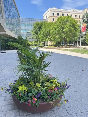WakeMed Raleigh Campus by null