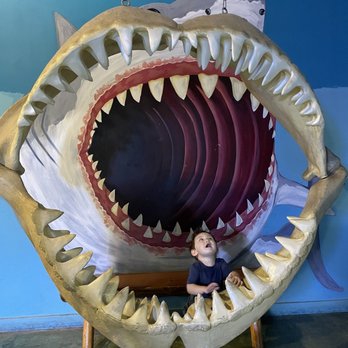Austin Aquarium - Aquariums Near Me - Austin, Texas