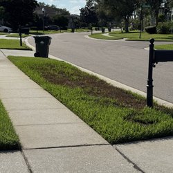 Florida's Finest Lawn & Pest Control - Front yard they fried