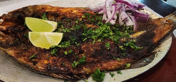 Alwaha Restaurant Bronx New York by null