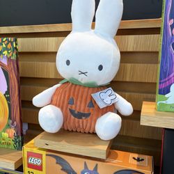 Barnes & Noble - miffy pumpkin
