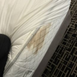 Blood stains? Blood stains?