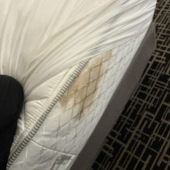 La Quinta by Wyndham Pontoon Beach - Blood stains? - Hotels Near Me - Pontoon Beach, Illinois La Quinta by Wyndham Pontoon Beach - Blood stains? - Hotels Near Me - Pontoon Beach, Illinois