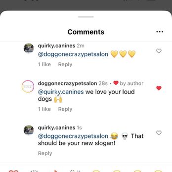 Dog Gone Crazy - Supportive of our dogs' singing during grooming. - Pet Groomers Near Me - Bakersfield, California