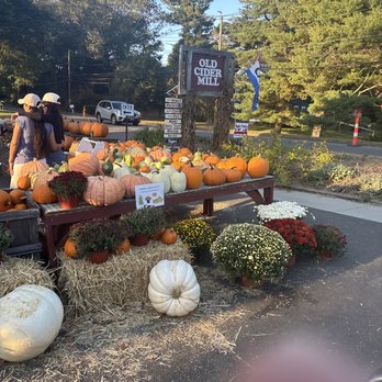 Old Cider Mill - Farmers Market Near Me - Glastonbury, Connecticut