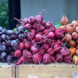Wardensville Garden Market