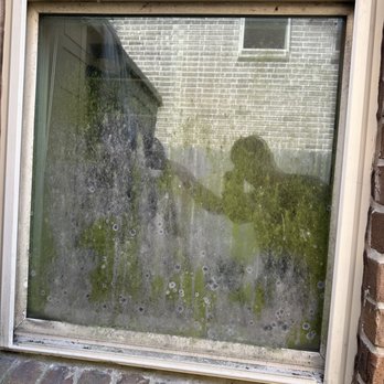 Pristine Clean Windows - Before... - Window Washing Near Me