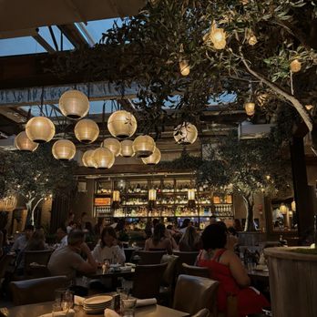 Aba - Inside - Mediterranean Near Me - Chicago, Illinois