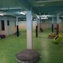 Photo of Cabana Doggie Daycare