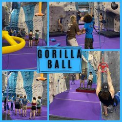 Ape Index Rock Climbing Gym