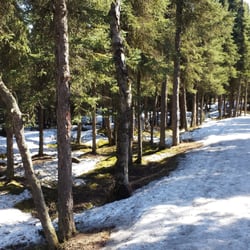 Lanie Fleischer Chester Creek Trail - April trail conditions in the shade are snowy