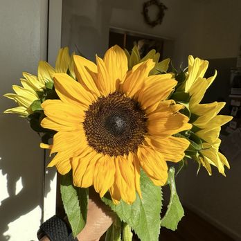 The Farm Stand - Sunflowers available for sale - Coffee & Tea Near Me - Corrales, New Mexico