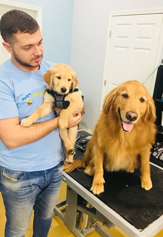 ANDY’S PET GROOMING & DAYCARE 917 Photos & 1044 Reviews 13236