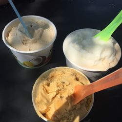 Roberto's Gelato - Root beer, pumpkin pie and lemon!