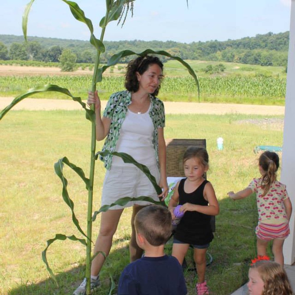 Sycamore Farms - Sycamore Saplings - A program for kids to learn about the farm, how food grows and participate in fun activities on the farm. - Farmers Market Near Me - Middletown, New York Sycamore Farms - Sycamore Saplings - A program for kids to learn about the farm, how food grows and participate in fun activities on the farm. - Farmers Market Near Me - Middletown, New York