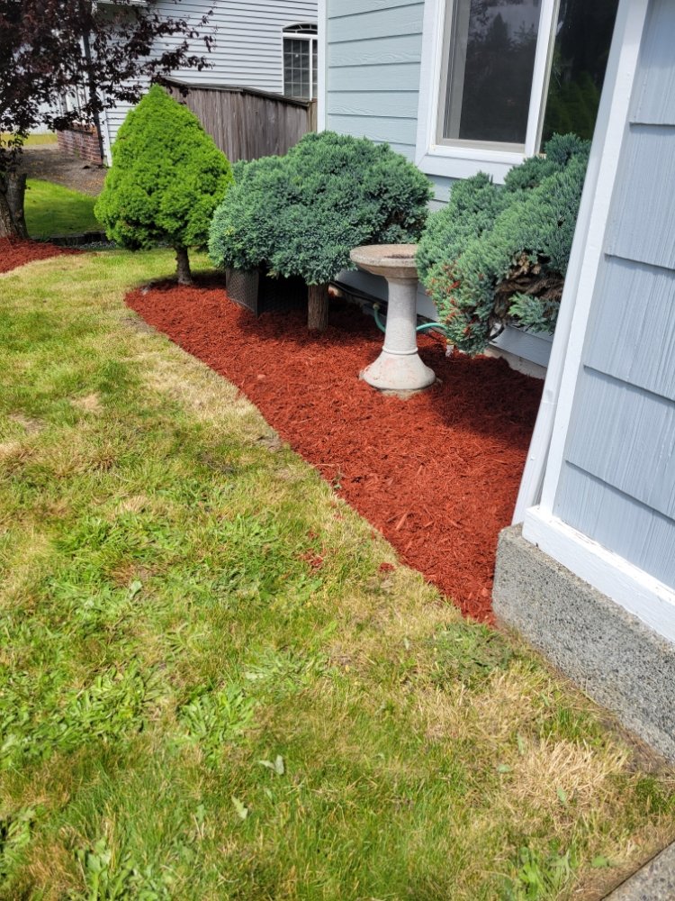 HR Landscaping Services - tree service in Marysville, WA