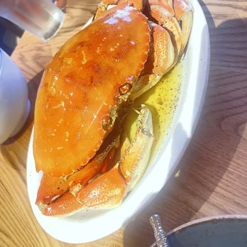 Thanh Long - Roast Crab - Seafood Near Me - San Francisco, California Thanh Long - Roast Crab - Seafood Near Me - San Francisco, California