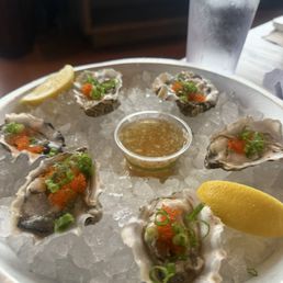 oysters!