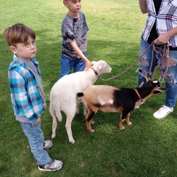 The Sweets Ranch - Their sweet lamby and goat - Horseback Riding Near Me