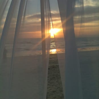 Gumbo Limbo - HH - Seafood Near Me - Naples, Florida