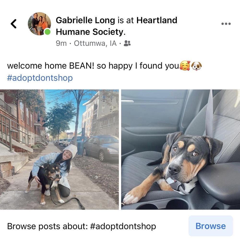 Heartland Humane Society - Animal Shelters Near Me - Ottumwa, Iowa Heartland Humane Society - Animal Shelters Near Me - Ottumwa, Iowa