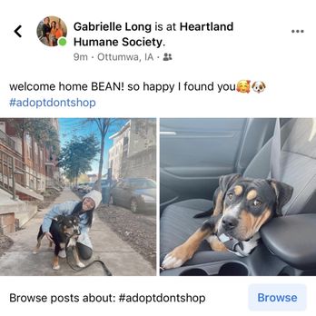 Heartland Humane Society - Animal Shelters Near Me - Ottumwa, Iowa Heartland Humane Society - Animal Shelters Near Me - Ottumwa, Iowa