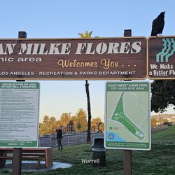 Joan Milke Flores Park - Brought the furball out to run and for me to walk