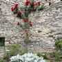 Photo of Castello di Vezio