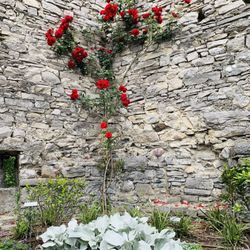 Castello di Vezio