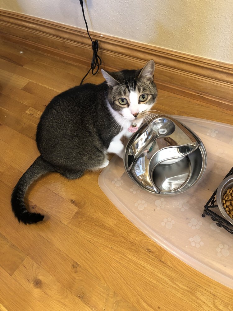 Slide of Just Call Friends