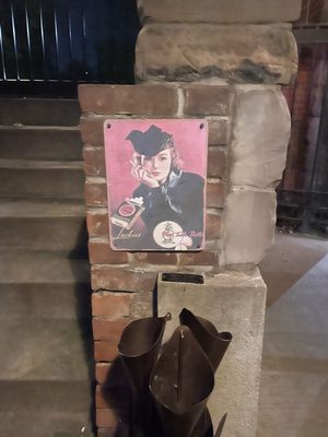 The Spotted Owl (Tremont) by null