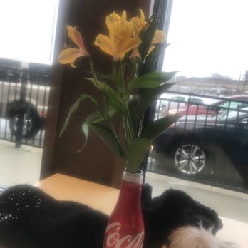 Chick-fil-A - Flowers - Chicken Shop Near Me - Lancaster, Pennsylvania Chick-fil-A - Flowers - Chicken Shop Near Me - Lancaster, Pennsylvania