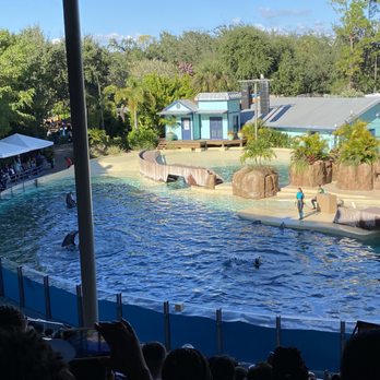 Dolphin Theater - Stadiums & Arenas Near Me - Orlando, Florida