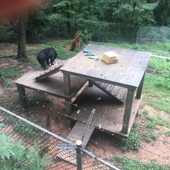 Zoo-Bear Hollow Wildlife Trail - Zoos Near Me - Athens, Georgia
