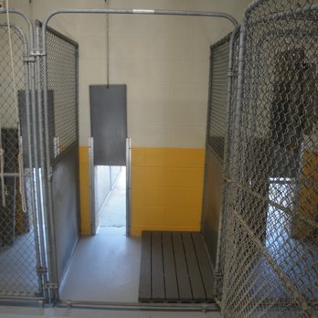 Sunny Ridge Kennels - Pet Boarding Near Me - Mount Crawford, Virginia Sunny Ridge Kennels - Pet Boarding Near Me - Mount Crawford, Virginia