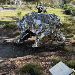 The Bear