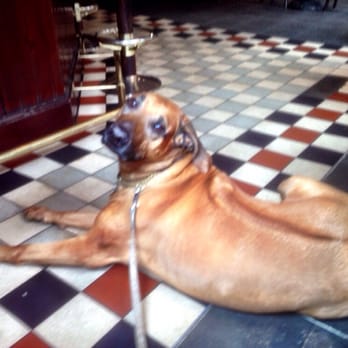 The Sparkle Horse - Pubs Near Me - Glasgow, GLG The Sparkle Horse - Pubs Near Me - Glasgow, GLG