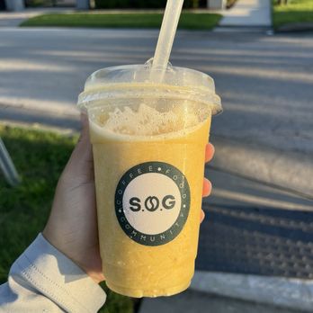 SOG Cafe - Punta Cana smoothie - Acai Bowls Near Me - Tampa Bay, Florida SOG Cafe - Punta Cana smoothie - Acai Bowls Near Me - Tampa Bay, Florida